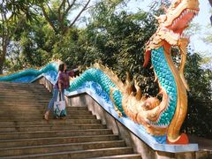 -西双版纳勐泐文化旅游区