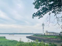 -吴淞炮台湾湿地森林公园烧烤区
