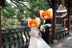 -莫兰迪婚纱摄影