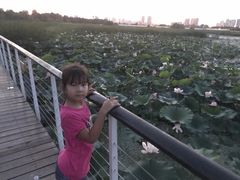 -哈尔滨大剧院
