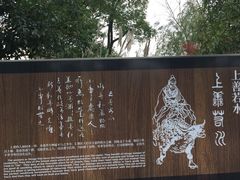 -梁鸿国家湿地公园
