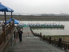 -合肥滨湖国家森林公园