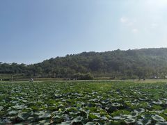 -南北湖风景区