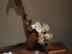 -神奈川·小京