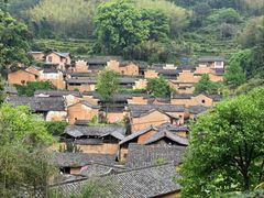 -杨家堂村