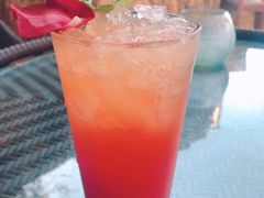 -Rock Bar Bali(Bali)