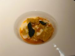 燉鸭肉意大利饺子-Aqua