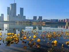 -天鹅湖体育公园