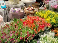 -循礼门鲜花花市(武汉循礼门店)