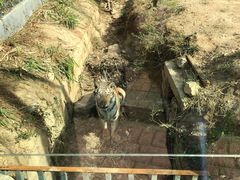 -泉州海丝野生动物世界