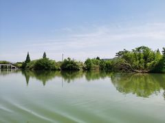 -白塔湖国家湿地公园