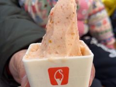 -野人先生Gelato(上海长宁龙之梦店)