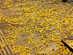 -特色油卤串串(水碾河店)