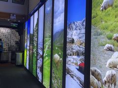 -阿西娅食府(中关村店)