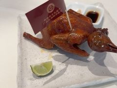 -侨美·唐荔园·40年地道粤菜