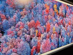 -罗红摄影艺术馆