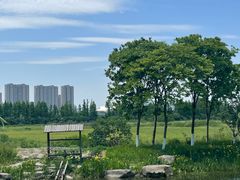 -长田漾湿地公园