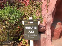 -大槐树寻根祭祖园