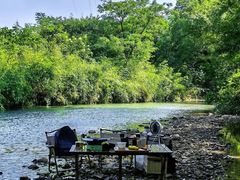 -北仑森林植物园