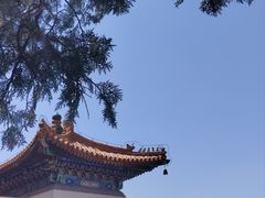 -颐和园