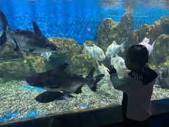 -石林冰雪海洋世界