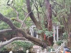 -蝴蝶泉公园