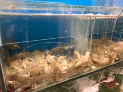 水产区-泰来酒店