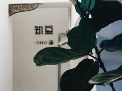 -知亘茶食