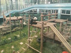 -大连森林动物园