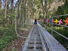 -窦圌山风景区