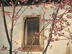 -乌山风景区