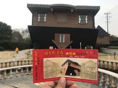 -金山农民画村-枫泾波兰倒置屋