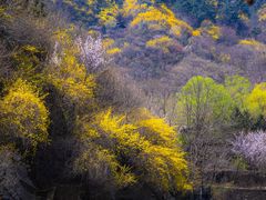 -九如山休闲旅游度假区