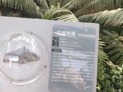 -国家植物园南园