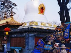 -护国法轮寺