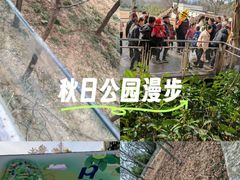 -合肥野生动物园