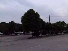 -无忧学车·华茂基地(宝山校区)
