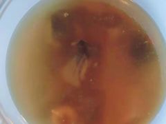 -维园港式茶餐厅(龙岗盛平店)