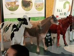 -君乐宝优致牧场