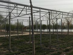 -甜心庄园·甜心草莓采摘园(西青中北店)