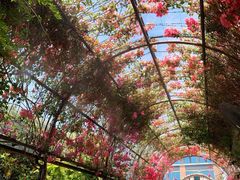 -The Grounds of Alexandria