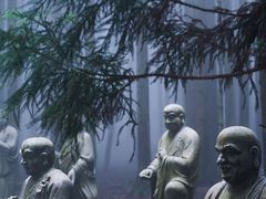 -武陵山森林公园