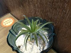 -绿杨馄饨店(湖滨新天地店)