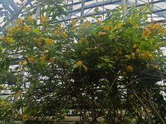 -南山植物园