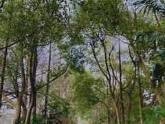 -同里国家湿地公园