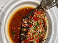-费大厨辣椒炒肉(正佳广场店)