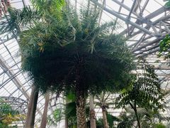 -南山植物园