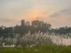 -东郊湿地公园