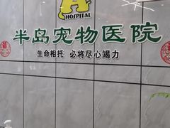 -半岛宠物医院24小时(西派城店)