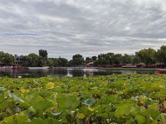 -小王府(什刹海店)